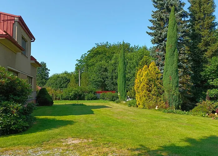 Apartman Za Lesem