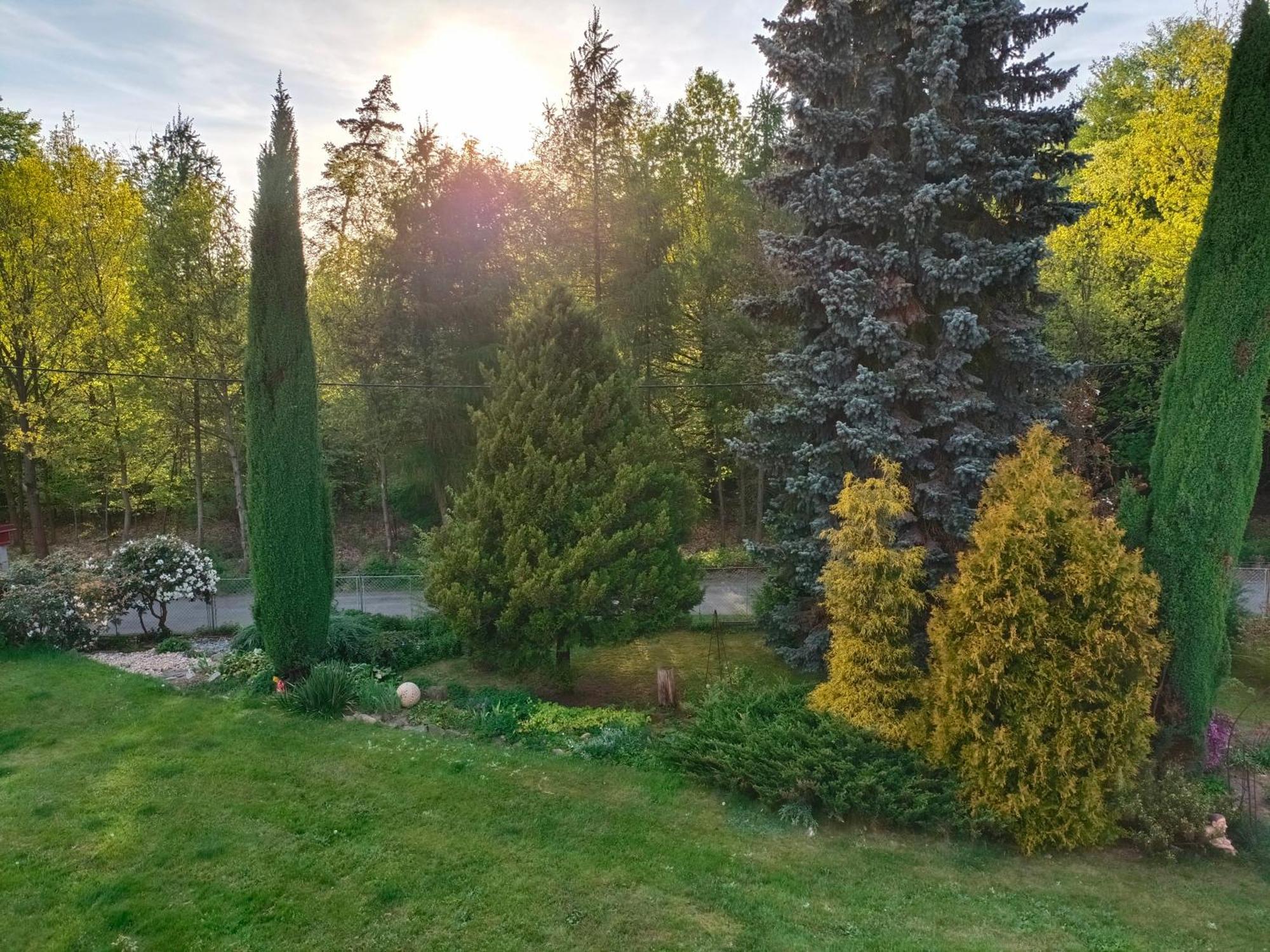 Homestay Za Lesem